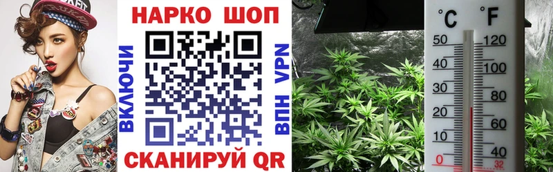 Магазины продажи наркотиков Тында COCAIN  Меф мяу мяу  Alpha PVP  Каннабис 