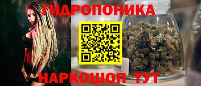 прущие грибы Свободный