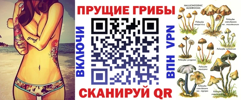 Галлюциногенные грибы Psilocybine cubensis  закладки  Тында 